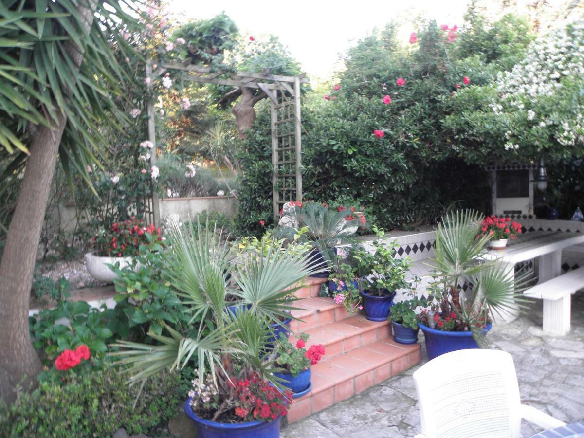 Villa Ingrid جاسّا المظهر الخارجي الصورة