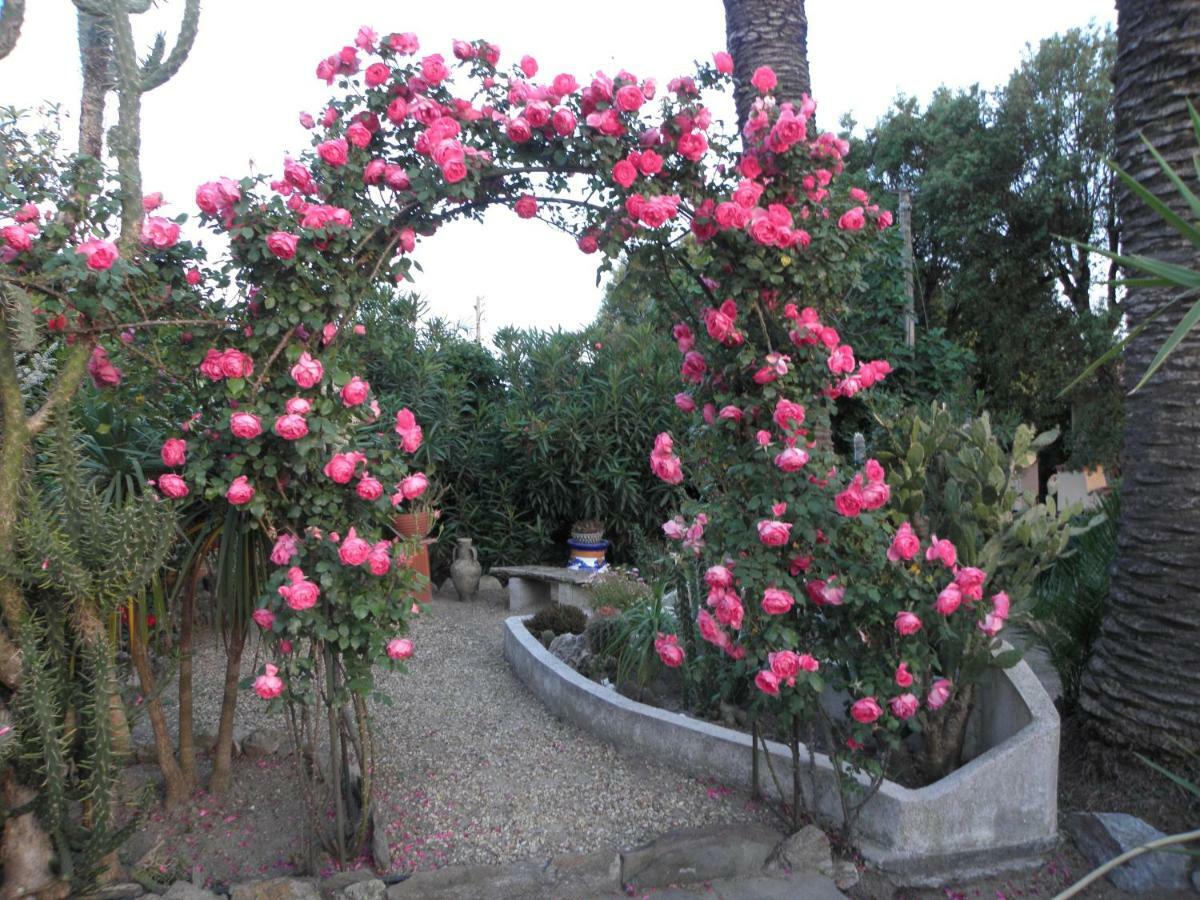 Villa Ingrid جاسّا المظهر الخارجي الصورة
